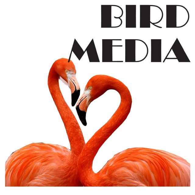 Bird Media
